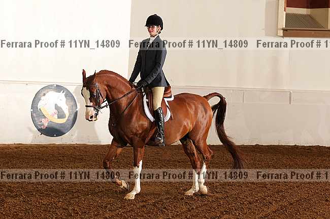 Proof 11yn_14809