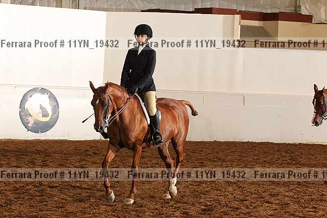 Proof 11yn_19432