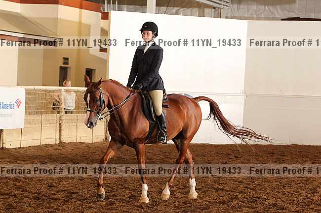 Proof 11yn_19433