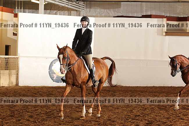 Proof 11yn_19436