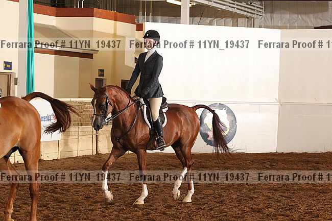 Proof 11yn_19437