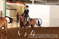 11yn_19437 proof