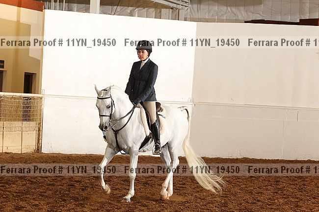Proof 11yn_19450