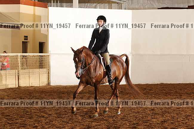 Proof 11yn_19457