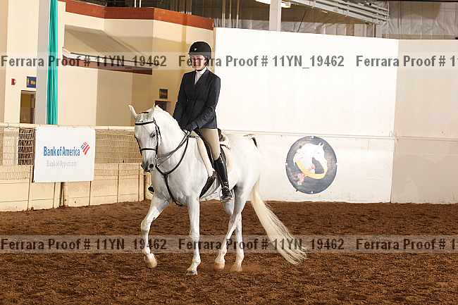 Proof 11yn_19462
