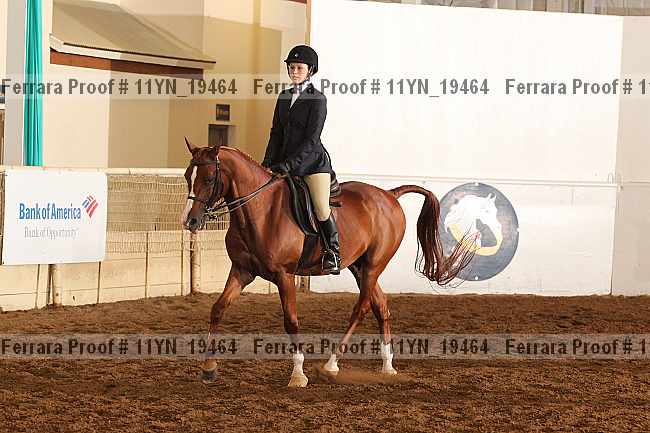 Proof 11yn_19464