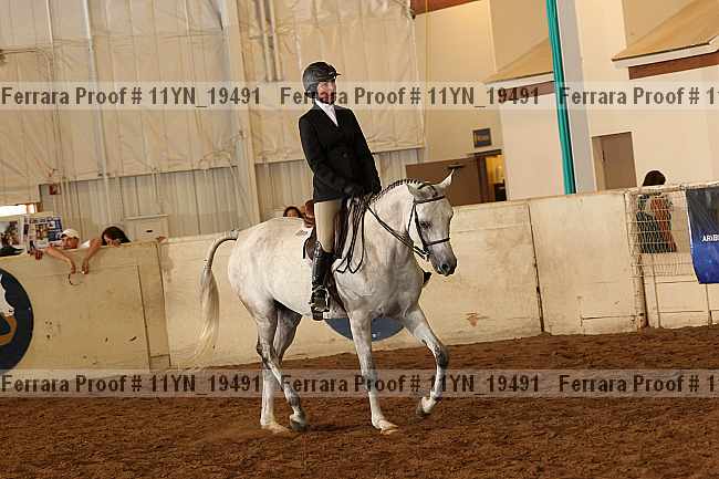 Proof 11yn_19491