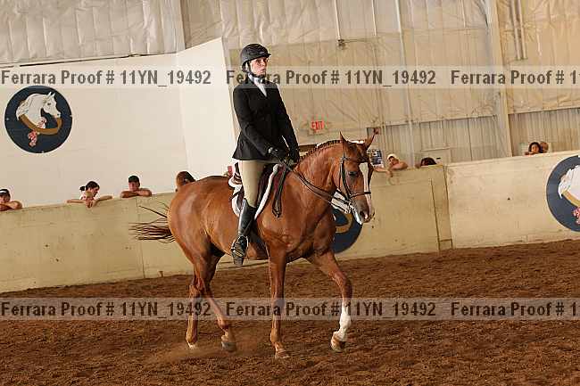 Proof 11yn_19492