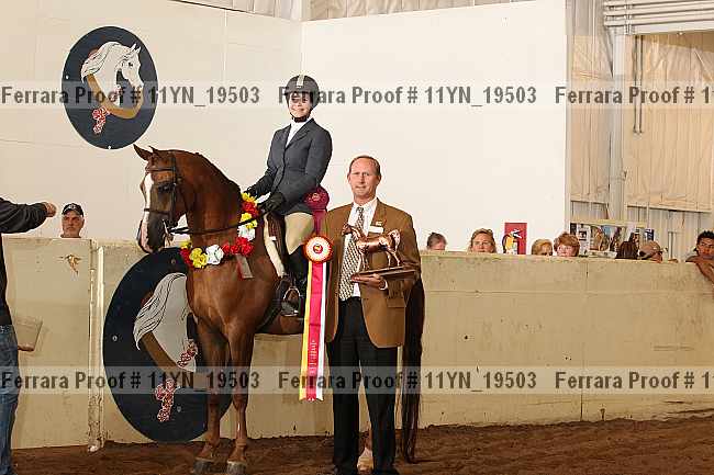 Proof 11yn_19503