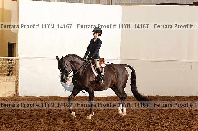 Proof 11yn_14167