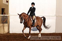 11yn_14238 proof