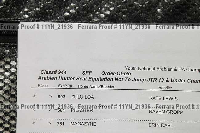 Proof 11yn_21936