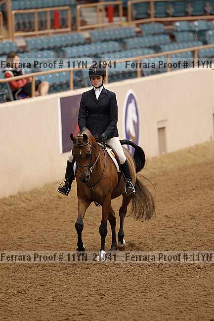 Proof 11yn_21941