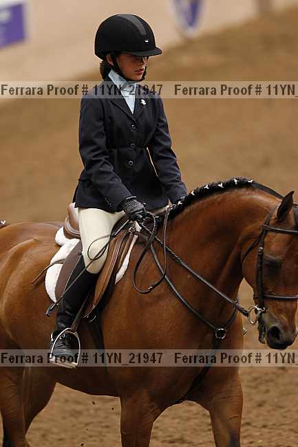 Proof 11yn_21947