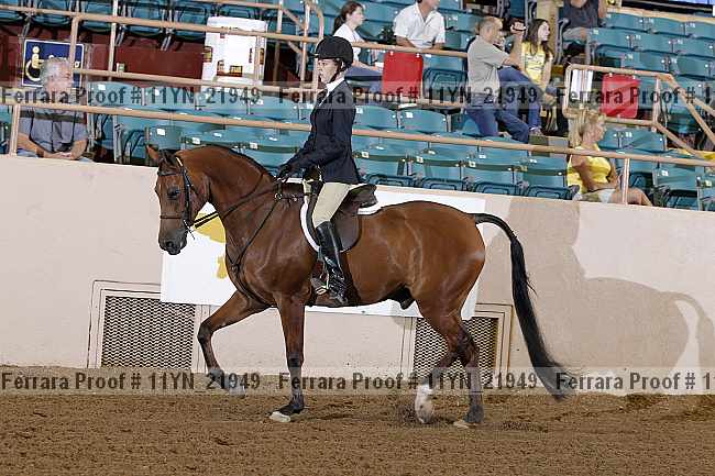 Proof 11yn_21949