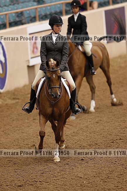 Proof 11yn_21950