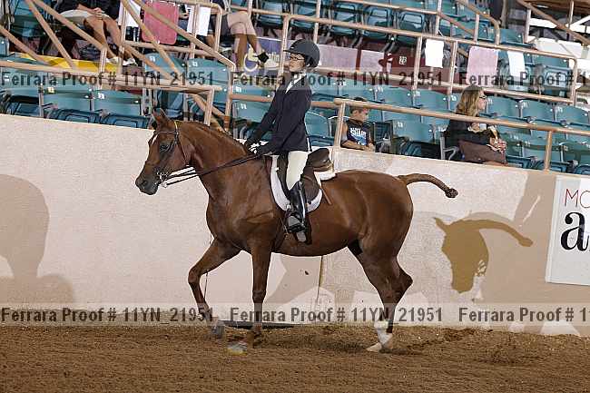Proof 11yn_21951