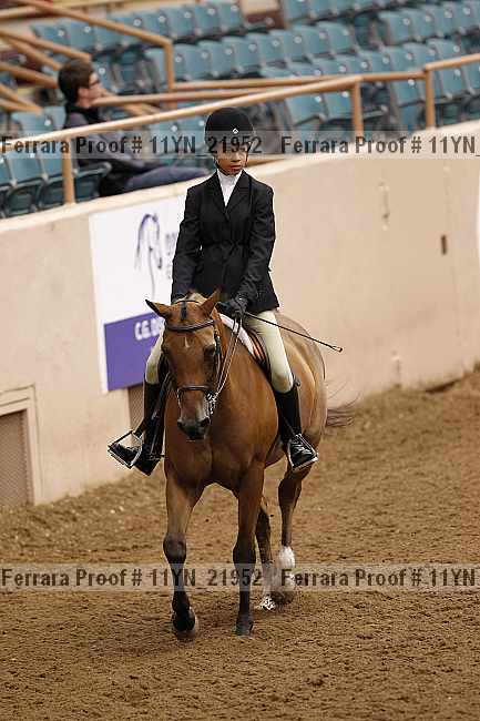 Proof 11yn_21952