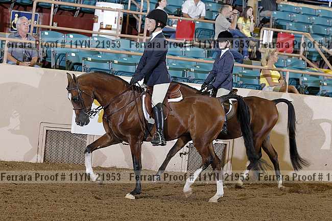 Proof 11yn_21953