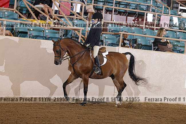 Proof 11yn_21955