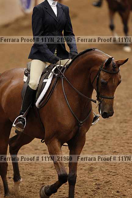 Proof 11yn_21960