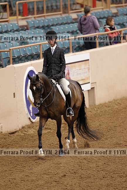 Proof 11yn_21964