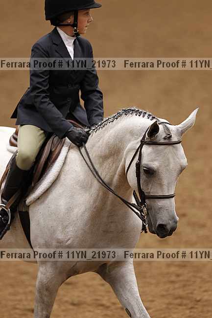 Proof 11yn_21973