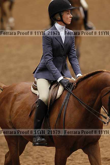 Proof 11yn_21979