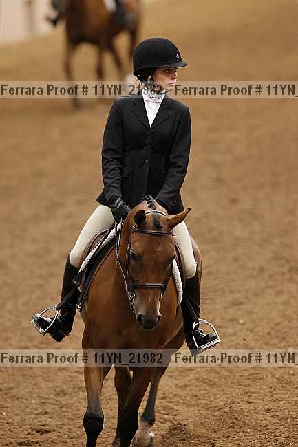 Proof 11yn_21982