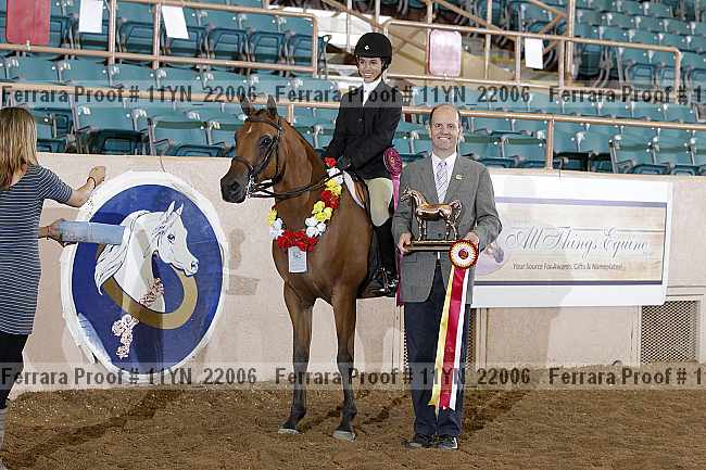 Proof 11yn_22006
