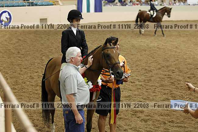 Proof 11yn_22008
