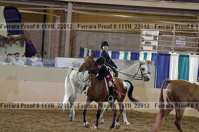 Proof 11yn_22012