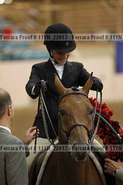 Proof 11yn_22013