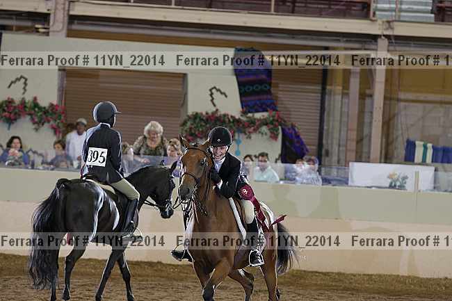 Proof 11yn_22014