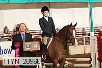 11yn_28968 proof