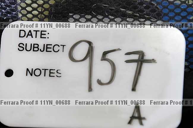 Proof 11yn_00688