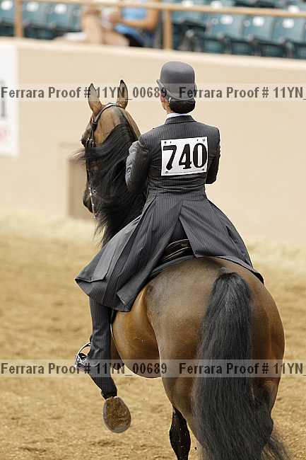 Proof 11yn_00689
