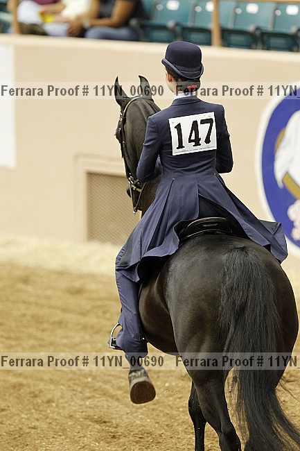 Proof 11yn_00690