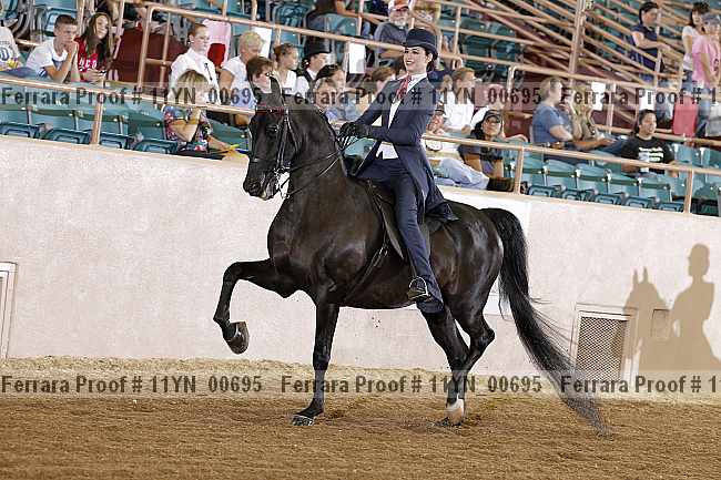 Proof 11yn_00695