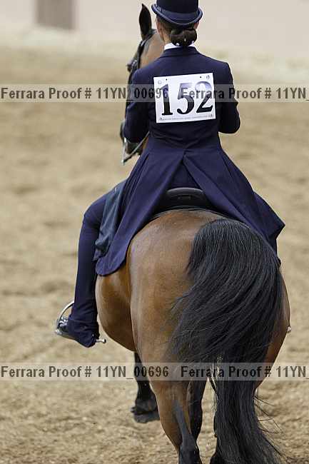 Proof 11yn_00696