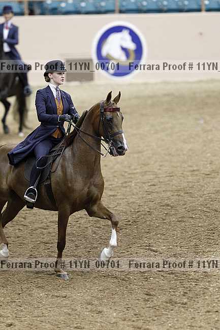 Proof 11yn_00701