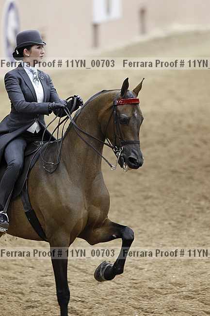 Proof 11yn_00703