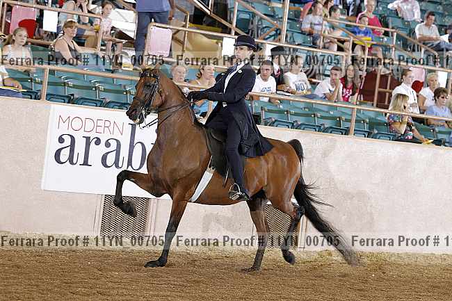 Proof 11yn_00705
