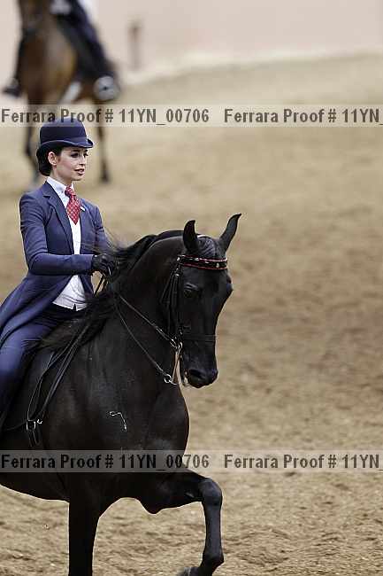 Proof 11yn_00706