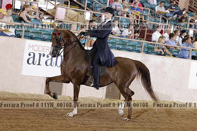 Proof 11yn_00708