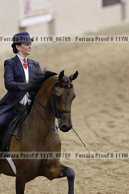Proof 11yn_00709