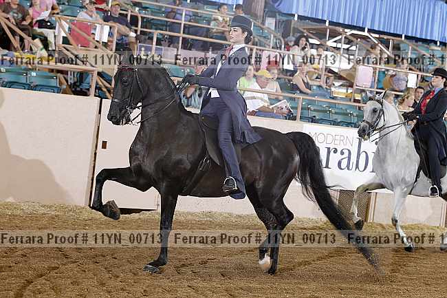 Proof 11yn_00713