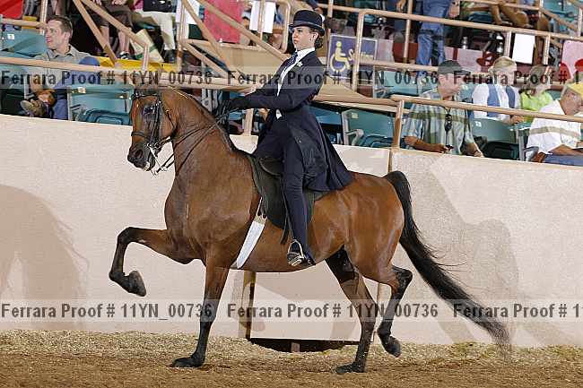 Proof 11yn_00736