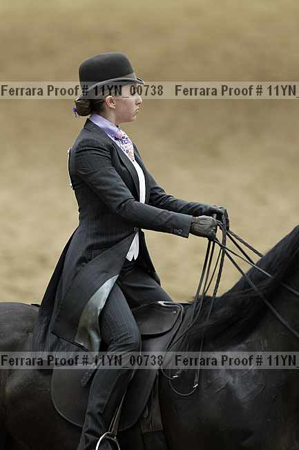 Proof 11yn_00738