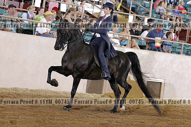 Proof 11yn_00745